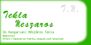 tekla meszaros business card